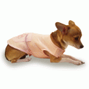 Dog Tee Shirt “Pastel on Pastel Top”